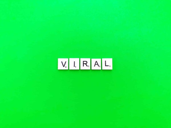 comment créer une stratégie de marketing viral pour augmenter votre visibilité